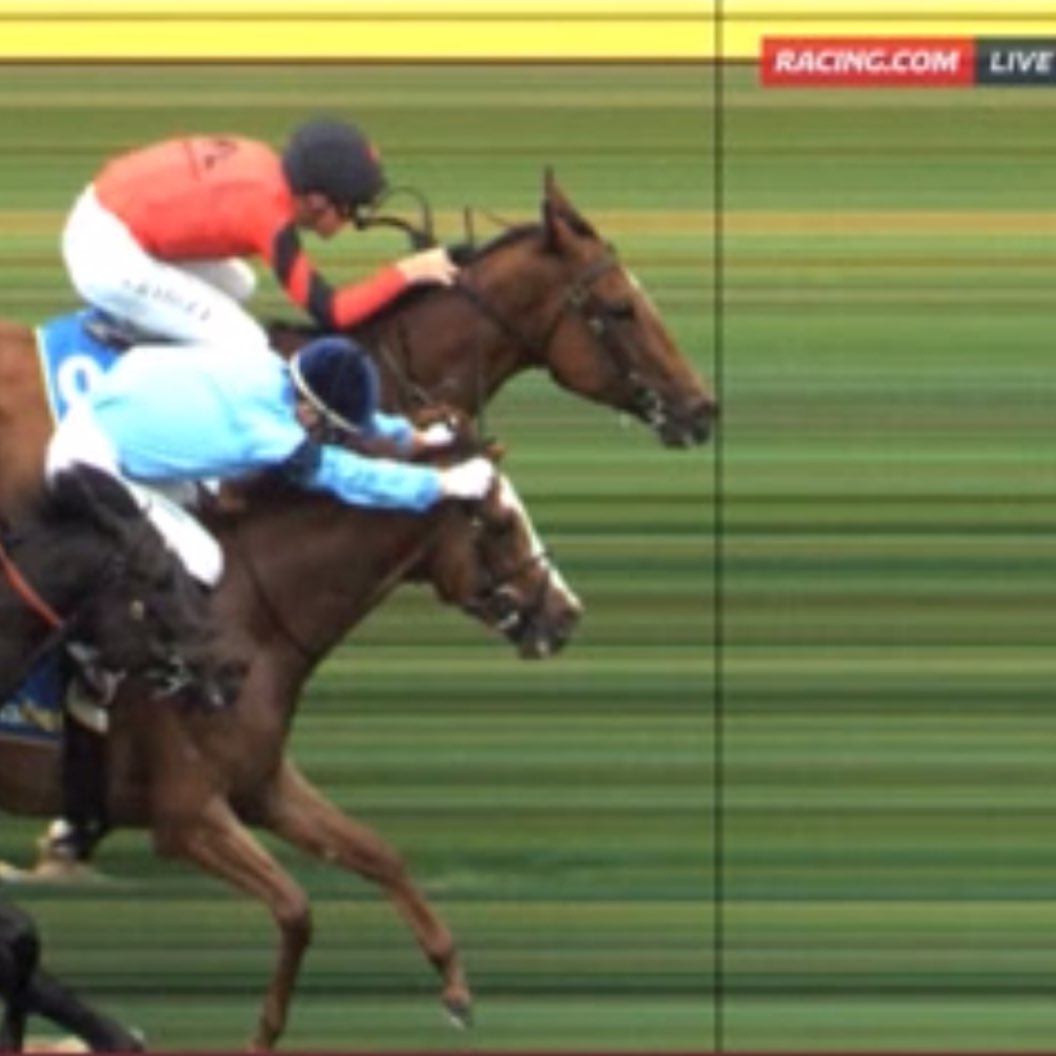 Highclere Racing Australia 🇦🇺 tweet media