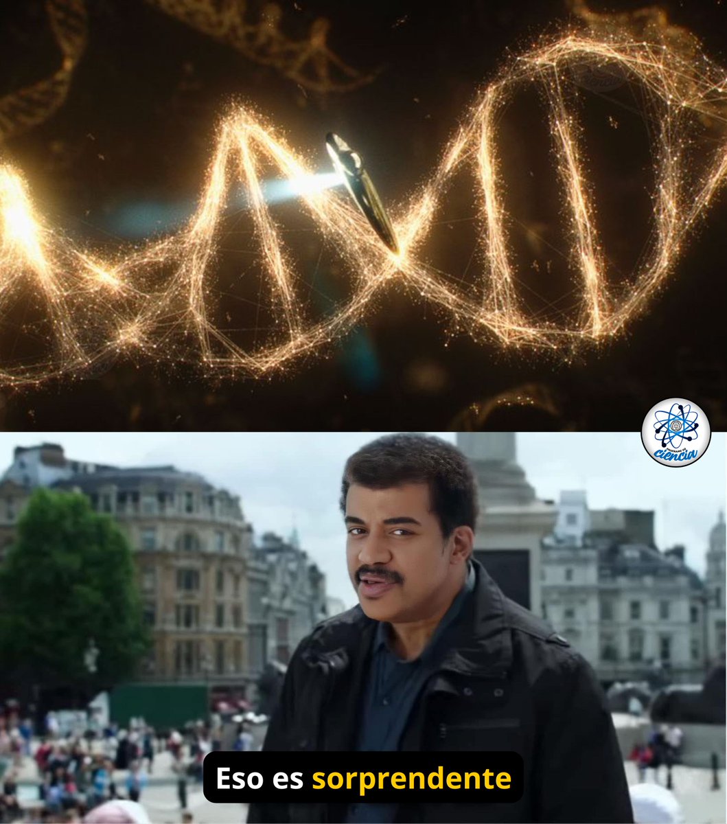 EnsedeCiencia's tweet image. "El ADN humano es 98% idéntico al de un chimpancé; sin embargo, los humanos solemos construir instrumentos, componemos sinfonías y utilizamos nuestras aptitudes para realizar ciencia, tecnología, arte… etc. 

Por otra parte, los chimpancés apilan cajas y comprenden lenguajes…