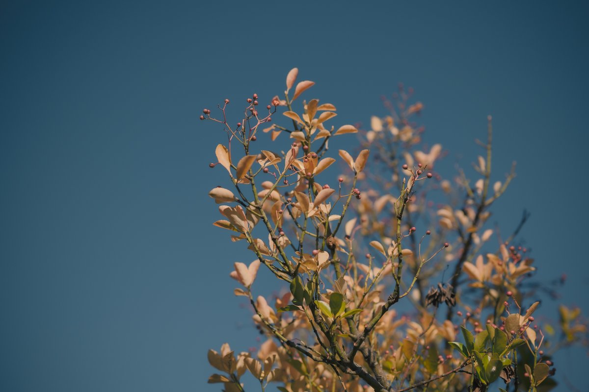 日米同時公開10月【送料込！⠀】 お、おさ、おさむ (@ytbo) / Posts / X