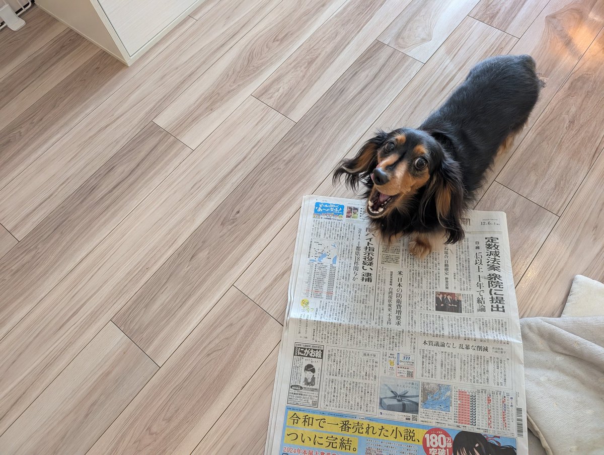 新聞をとりはじめたものの読む余裕のない人間を嘲笑っている様子