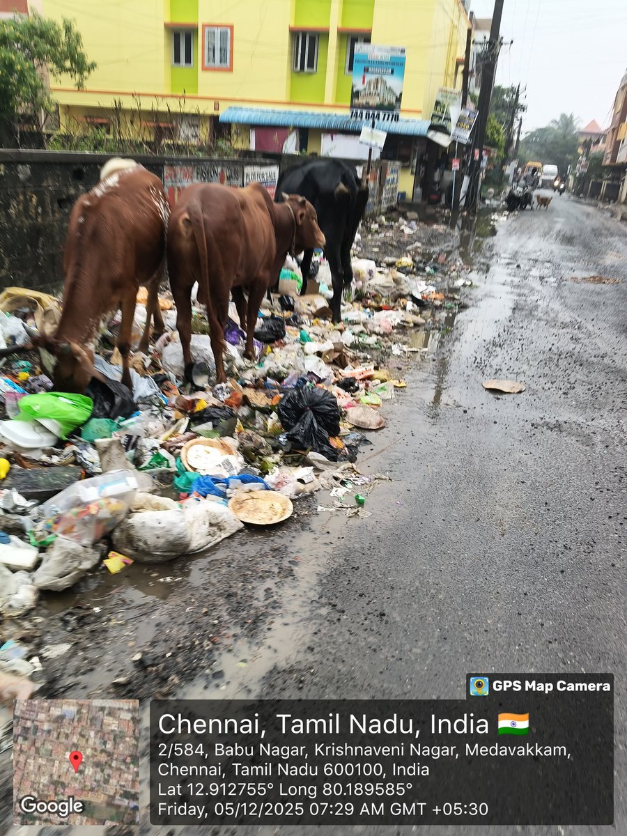 Chennai, Tamil Nadu

No major metro tolerates scenes like this.

For India’s Second Largest Economy, this is embarrassing and exposes how weak the urban administration really is.

<a href="/chennaicorp/">Greater Chennai Corporation</a> shame on you!