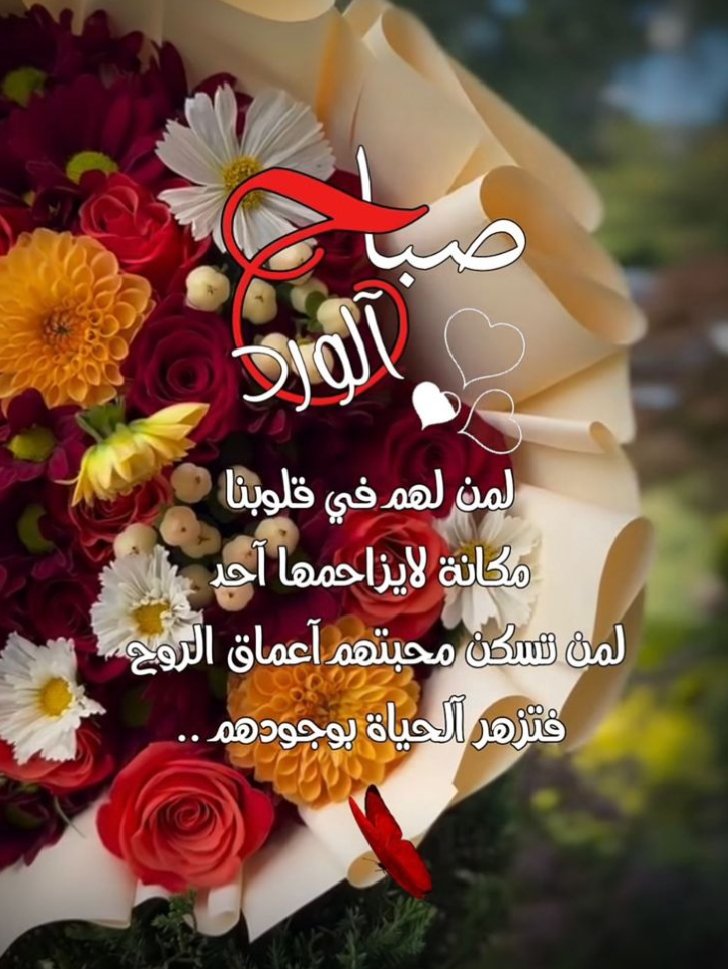 Georjass (@georjass55) on Twitter photo 