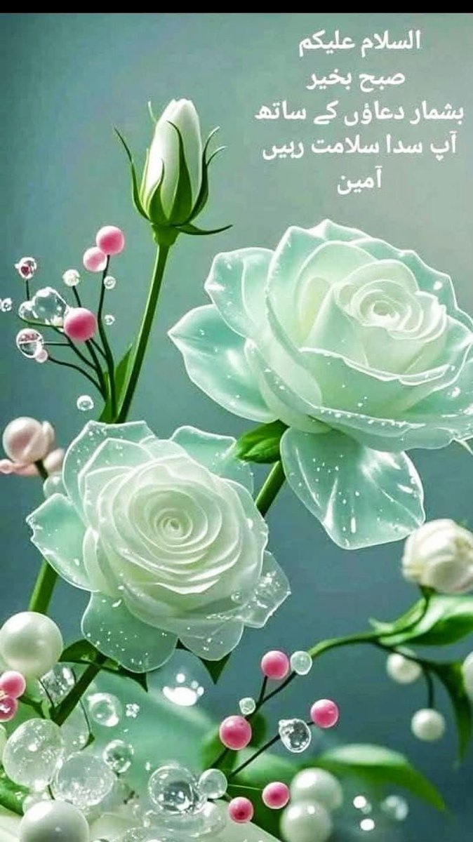 shahista210's tweet photo. The Remembrance
of Allah*
is the easiest way to
attain closeness
to our GOD Almighty
It is our need.
Make HIS Remembrance
a habit just like
breathing and eating.
✍️📕☕️🥮🍫🍩
Goodmorning friends
#HapppyWeekend https://t.co/xFFb0tm2cI