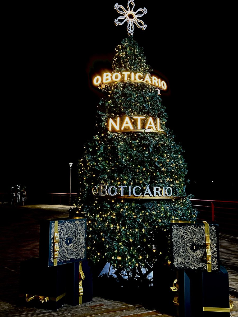 naandalealm's tweet photo. @oBoticario 🎄♥️ https://t.co/CeNYCTWAcz