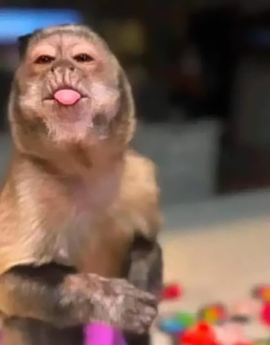 _Mulaamamii's tweet image. Just in case you don’t like me