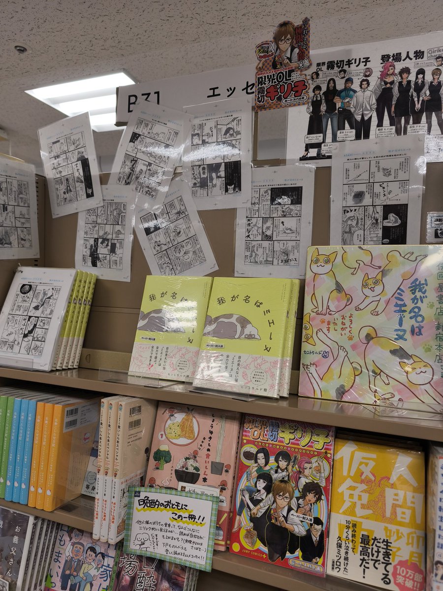 セントラルド熊 (@4RewJJOmWiLzR7L) / Posts / X