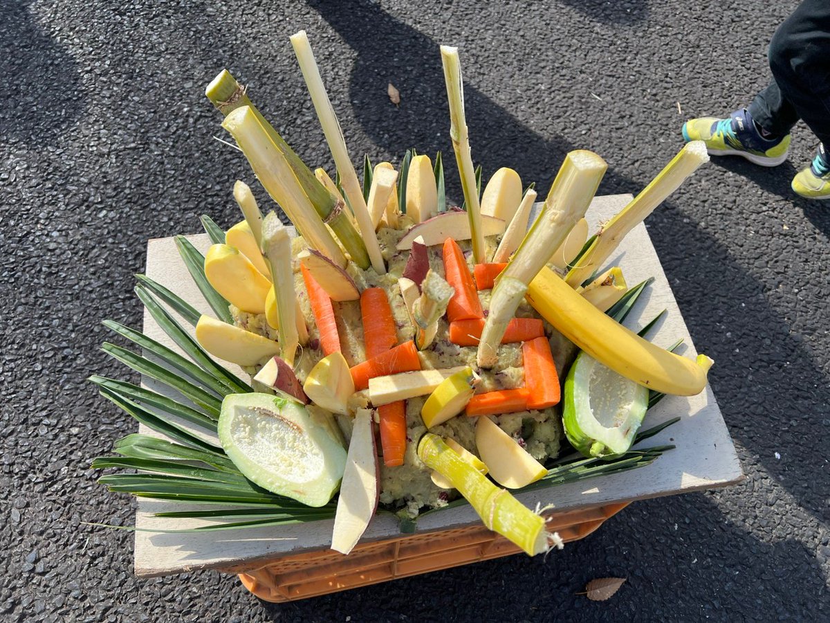 12月9日に45回目のお誕生日を迎える ＃アジアゾウ スズコのお誕生日会を行いました！今年は、皆様からプレゼントをあげて頂いたり、ケーキをプレゼントしました。年を重ねても昔と変わらずおちゃめなスズコを今後もよろしくお願いします。＃かみね動物園