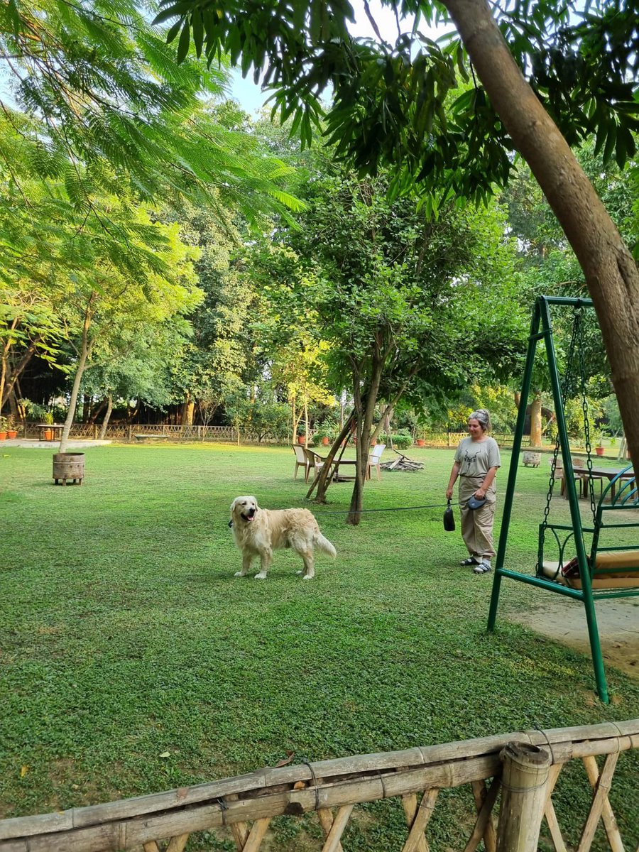 Lumbini Buddha Garden tweet media