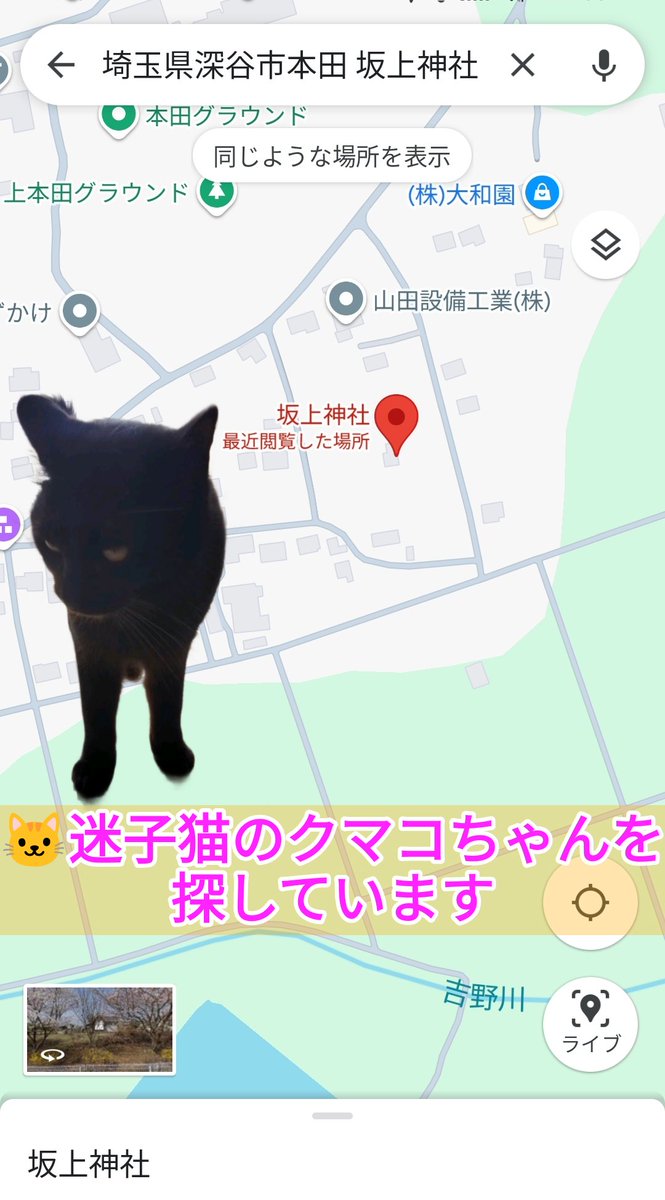 iowancows_pets's tweet photo. 🐱クマコちゃん

23年7/30 埼玉県深谷市本田 坂上神社付近で迷子

黒猫さんで
現在6才位
マイクロチップ装着済み
片方の前脚に禿げた様な傷跡があります

目撃·保護情報等、どんな些細なことでも
👇引用元の飼い主様まで連絡お願いします🙏

#猫好きさんと繋がりたい
#猫のいる暮らし
#迷子猫 https://t.co/cijPG0LWV9