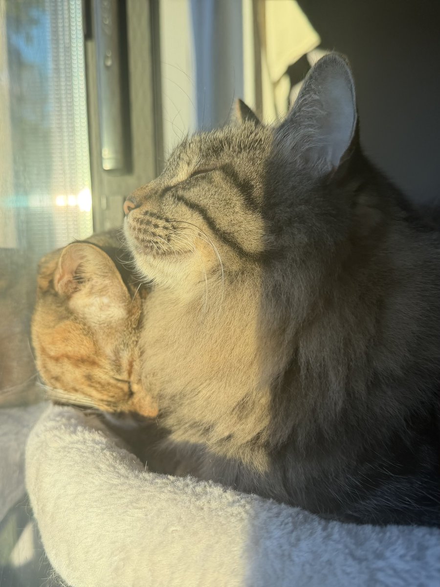 お日様気持ち良いね☀️