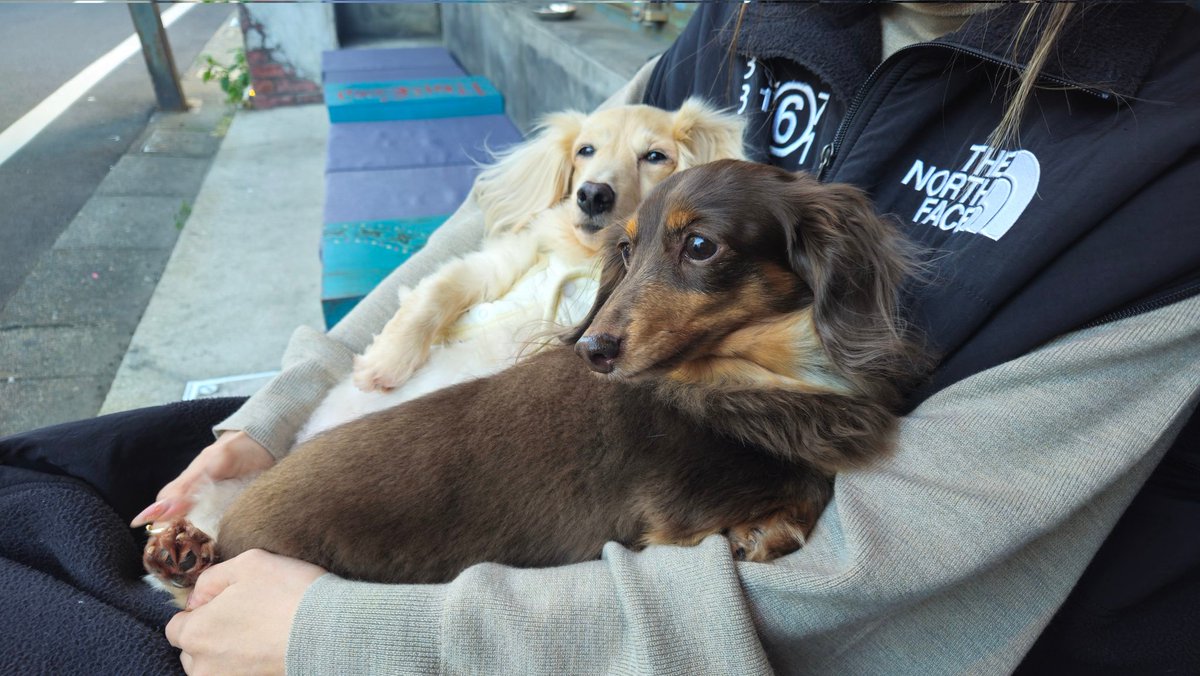 飲み屋のカワイイねーちゃんが うちのカワイイワンコちゃんを カワイイ