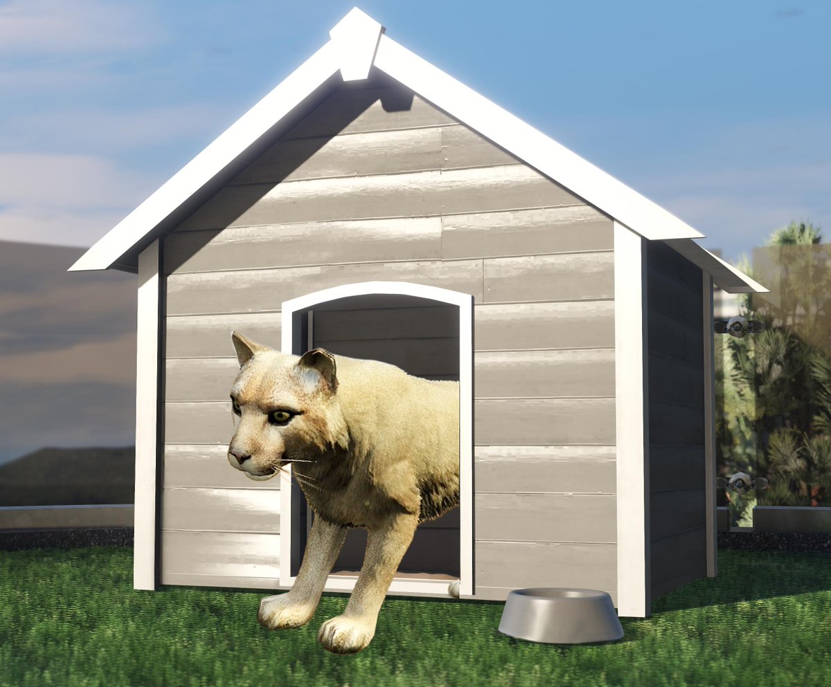 Pet update for GTA Online? So you are telling me there is a chance...