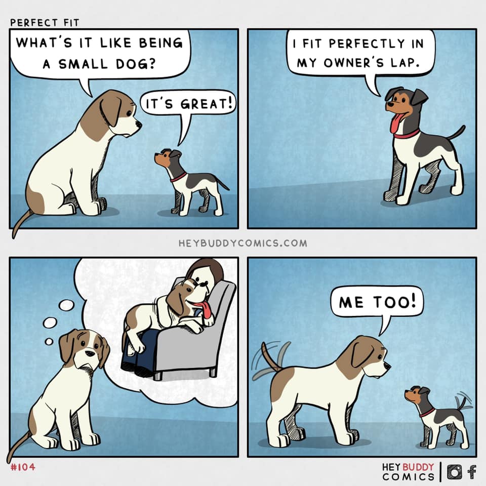 Showsight's tweet image. Every dog is a lap dog💙

🎨 by: HeyBuddyComics

showsightmagazine.com

#dogcomics #lapdog #showsightmag #heybuddycomics