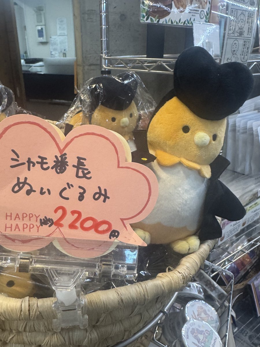 のんちゃん様♡ありがとうございます♡ のん (@77nonono77) / Posts / X