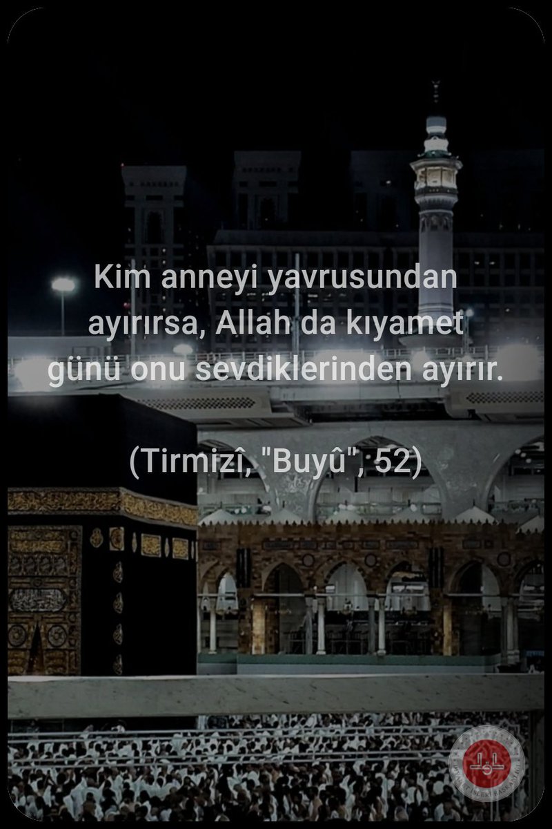 AbdullahDomurc1's tweet photo. https://t.co/apUixs7mEC