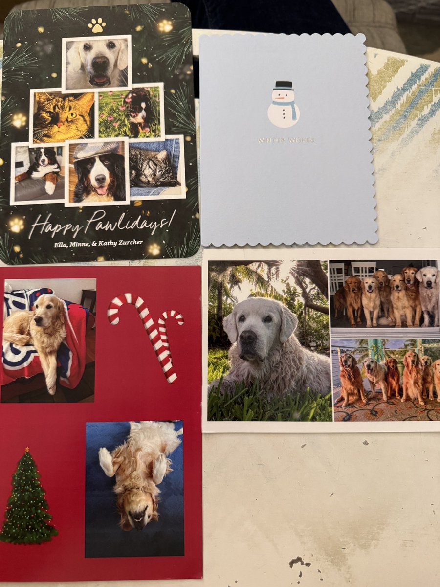 They’re arriving!!!!

#FoTS 
<a href="/KAZurcher/">Kathy Zurcher💜</a> 
<a href="/goldengirl2362/">Linda Queen 💛☕️🌷🌼🦮🏈#🟦🇺🇦</a> 
<a href="/Londongirlie78/">𝘊𝘩𝘳𝘪𝘴𝘵𝘪𝘯𝘦 in NC 🇬🇧</a> 
<a href="/dmgeran/">Denise 🇺🇦🇺🇦🇺🇦</a>