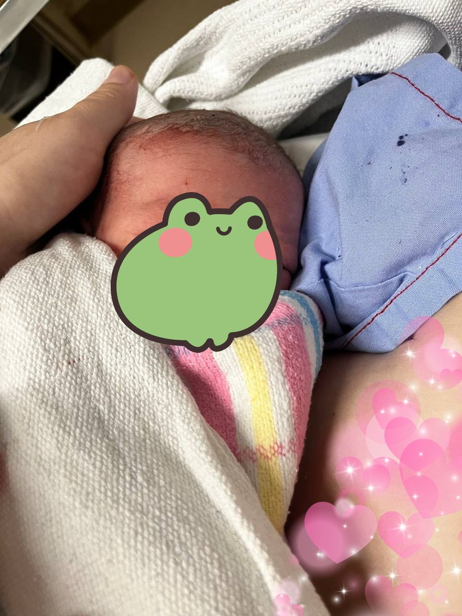 🌈 Mega 🌈🐸 tweet media