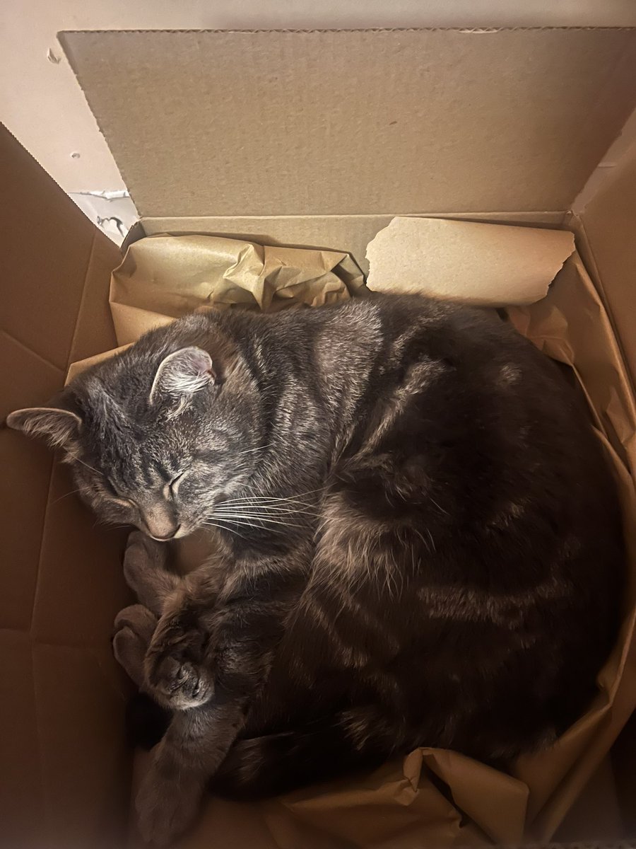 He yearns for the cardboard box