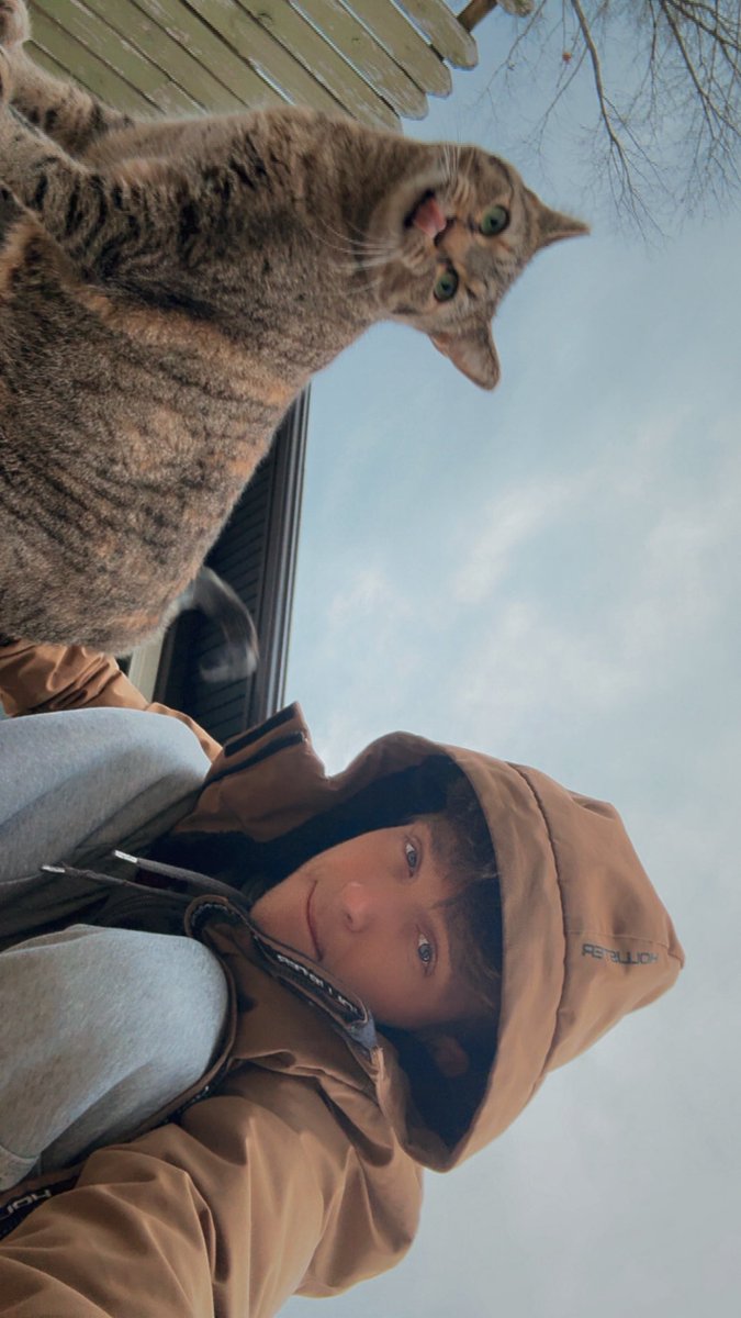 PrezQT's tweet photo. Kitty appreciation post🙂‍↕️ https://t.co/0mDImESb9h