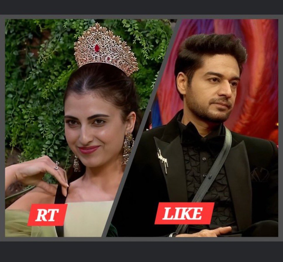 BBTak2468's tweet photo. I really appreciate these two Fandom
#GauravKhanna 
#FarrhanaBhatt
Most powerful Fandom of #BiggBoss19 
If they both will be Top 2
Who will win??
Lets see Fandom Power
#BiggBoss #BB19 https://t.co/FK1tGtsEA9