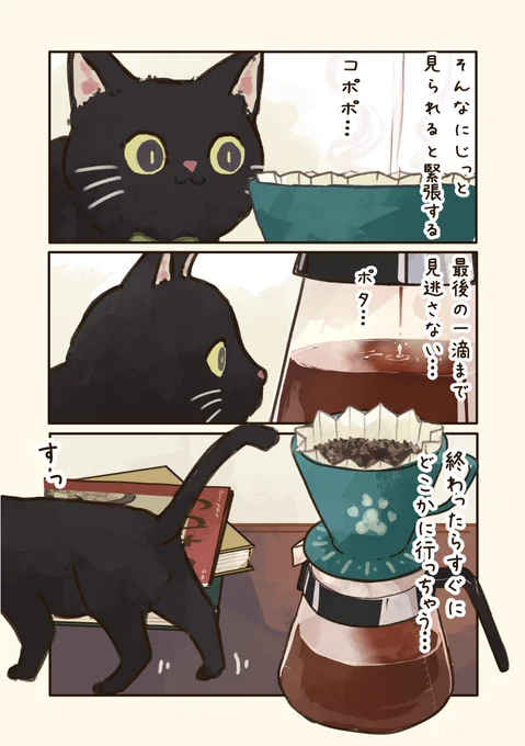 ドリップソムリエの黒猫2🐈‍⬛☕

#猫とコーヒーときどき紅茶 