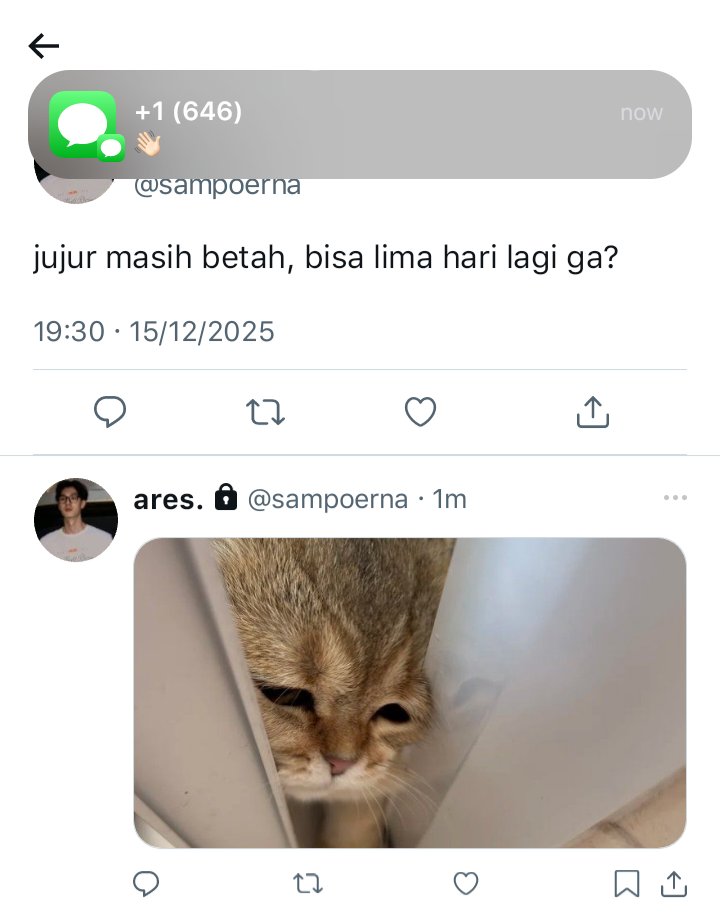 naze 🦇 tweet media