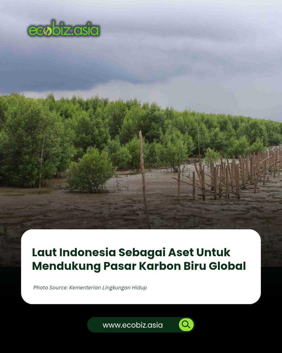 EcobizAsia's tweet photo. EBC: Ekonomi Biru Dorong Peluang Investasi dan Inovasi Kelautan di Indonesia🌊🌳 https://t.co/IWLGNjSs7i