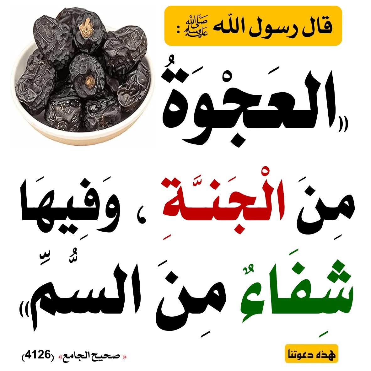 الكتابُ والسُّنة (@kitabwasunna93) on Twitter photo 