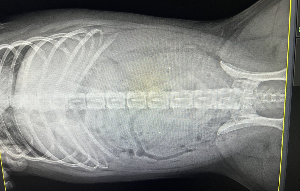 Kristy Jackson tweet media