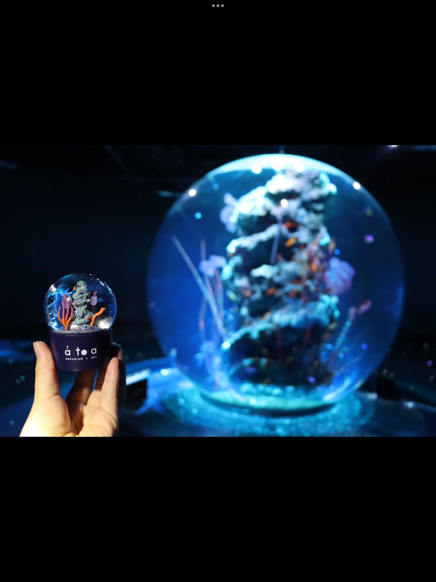 🆕 新商品情報✨ ＼ アトアのシンボルである球体水槽 