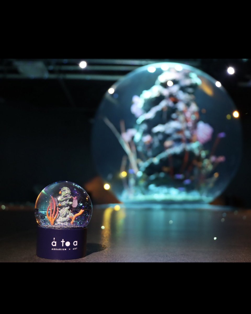 🆕 新商品情報✨ ＼ アトアのシンボルである球体水槽 