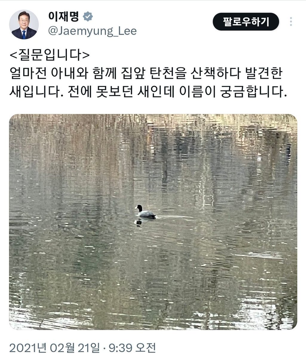 아콘(미네랄 2%부족) 중도개헌파(국적:한국) tweet media