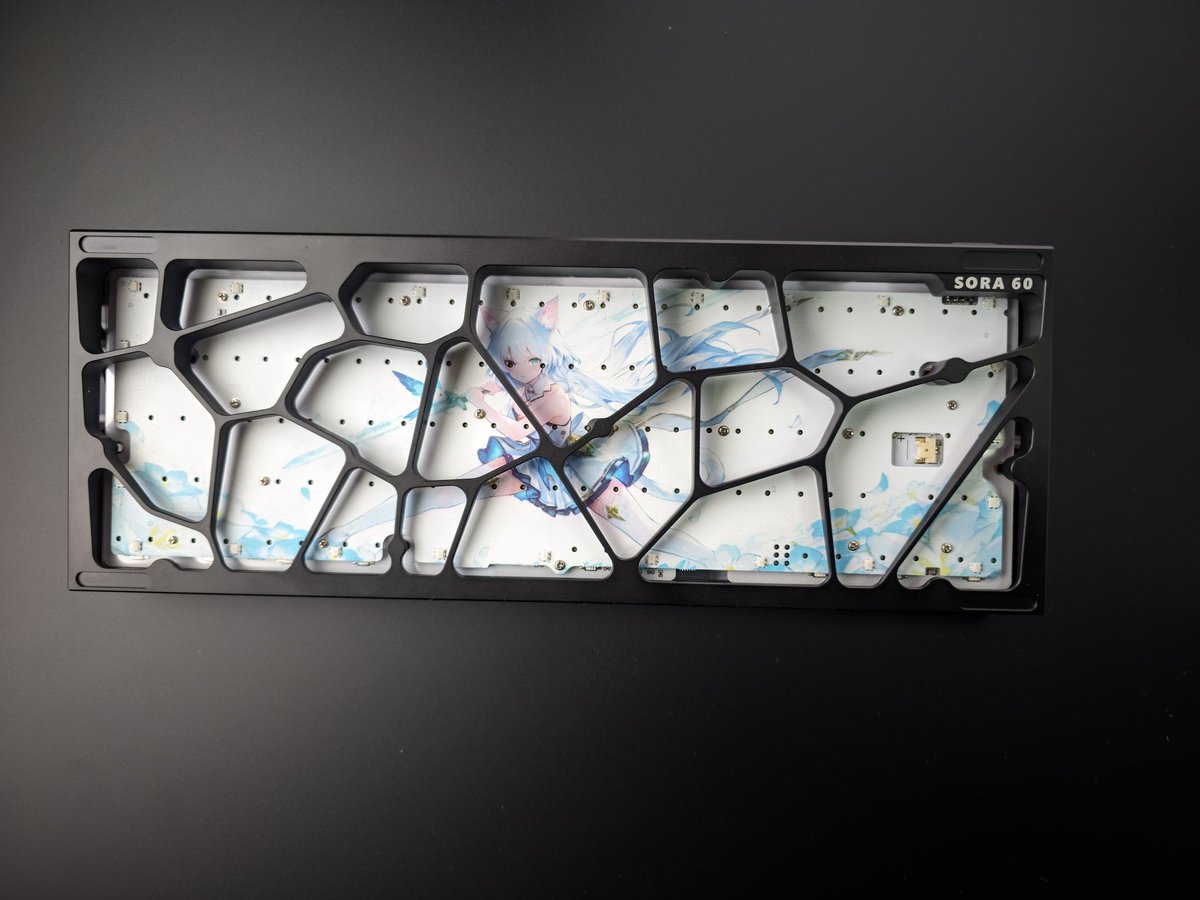 M6Ultra+/Snowcat build. 
Specs:
SORA60
Unionwell Polar pro+
0.0001 Rt, deadzone and actuation point.
I do not like anime design, but sacrifices for the best performance, I guess.
Maybe it’s just a temporary build… just maybe.