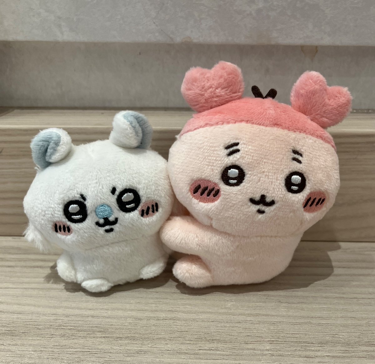 ちいハチまん (@romrom22517) / Posts / X