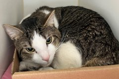 PeterAskin1's tweet image. Poor "Zizi" was stuck in a death row cell
&amp;amp; he must be saved &amp;amp; we must not fail!
He will not again ever look sad &amp;amp; blue
if adopted by someone just like you! 
If #NewYork is not where you are
pledge as distance not a bar! 
Tag @AdmasPaulGrimke!
LAST CALL! 🙏…