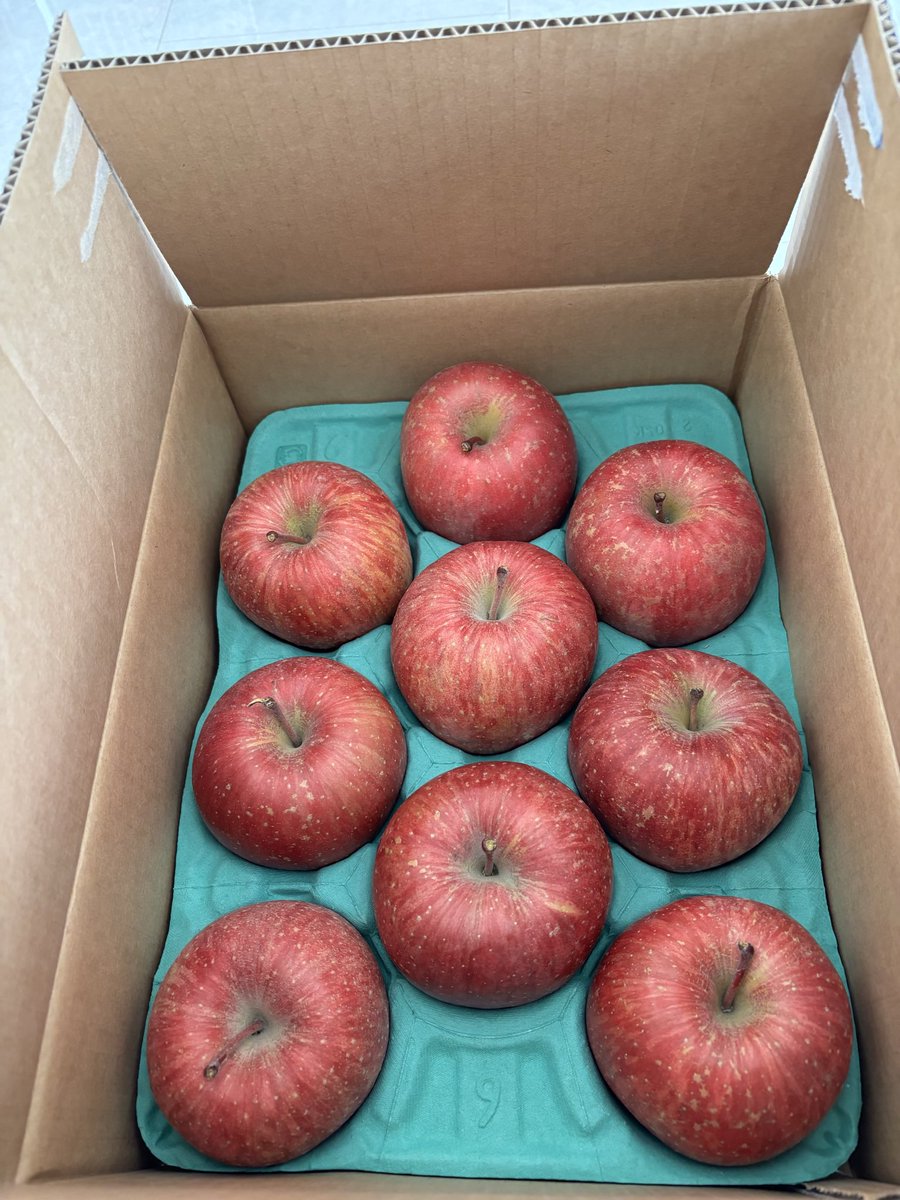 akiko14128's tweet photo. アークスからりんご🍎到着
蜜入りですごく美味しい😋 https://t.co/2S061vN3fs