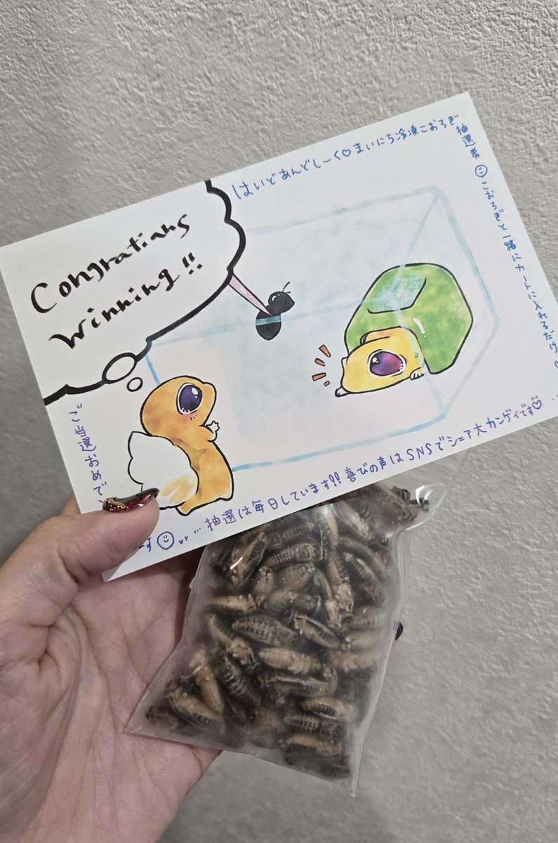 はいどあんどしーく.🎃エキゾ&えさやさん (@cagexxx) / Posts / X