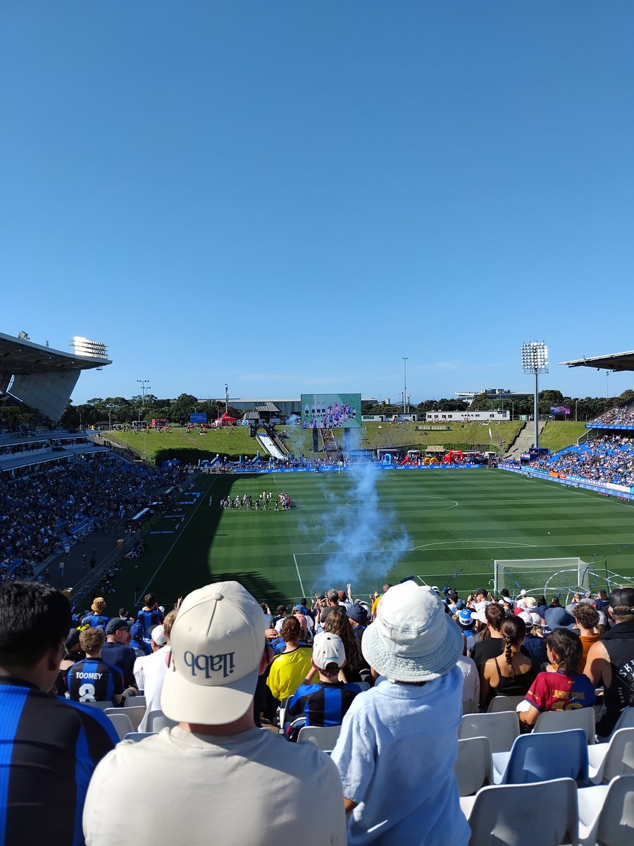 3rdBestMJ's tweet image. Wellington (H)