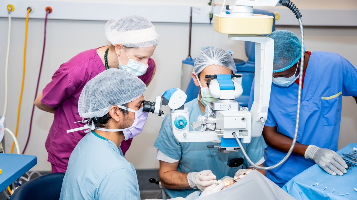 The Luke Commission tweet media