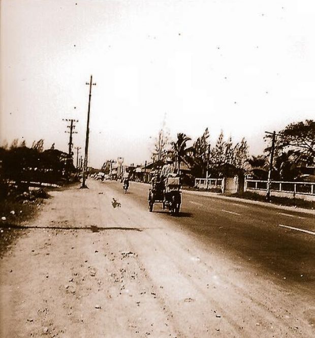 Retro Siam tweet media