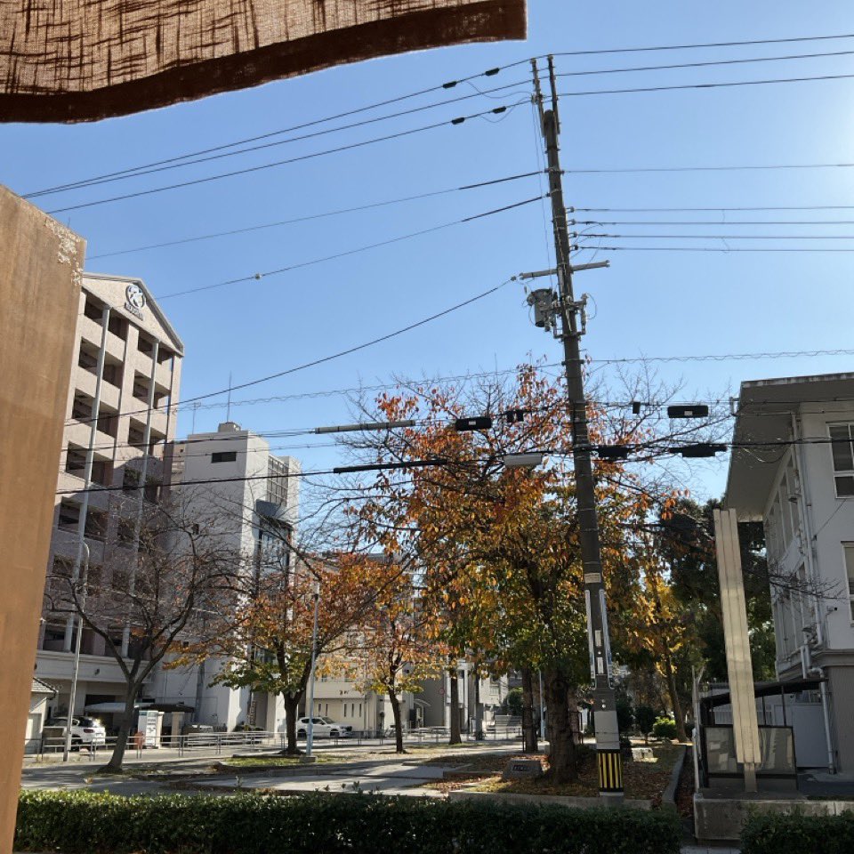 12/6 ☀️ #シンフォニー記念日
たまにシンフォニーホールとフェスティバルホールがごっちゃになって営業中(13:00～21:00)

#今日のおやつ は「柿とあんこのマフィン」

#今日は何の日 #ひとりカフェ #玉造カフェ #夜カフェ大阪 #イマソラ