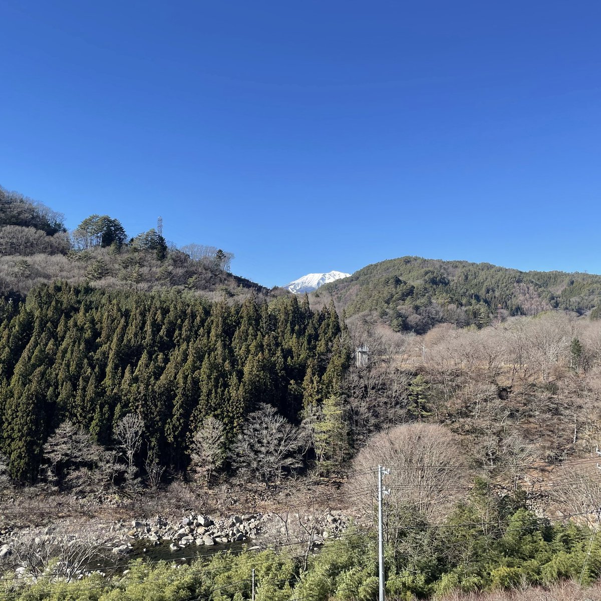 紅はるか
