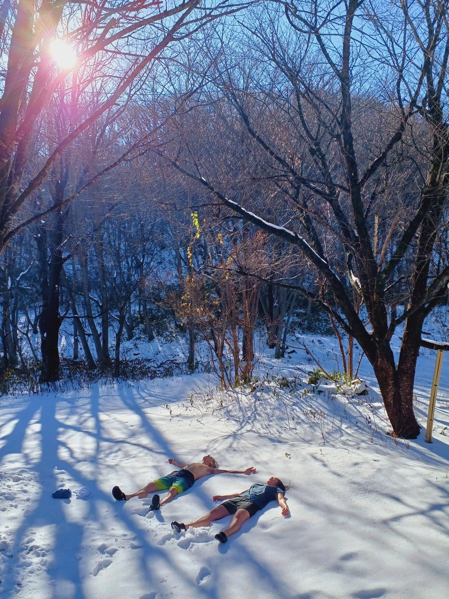 Nature Sauna tweet media