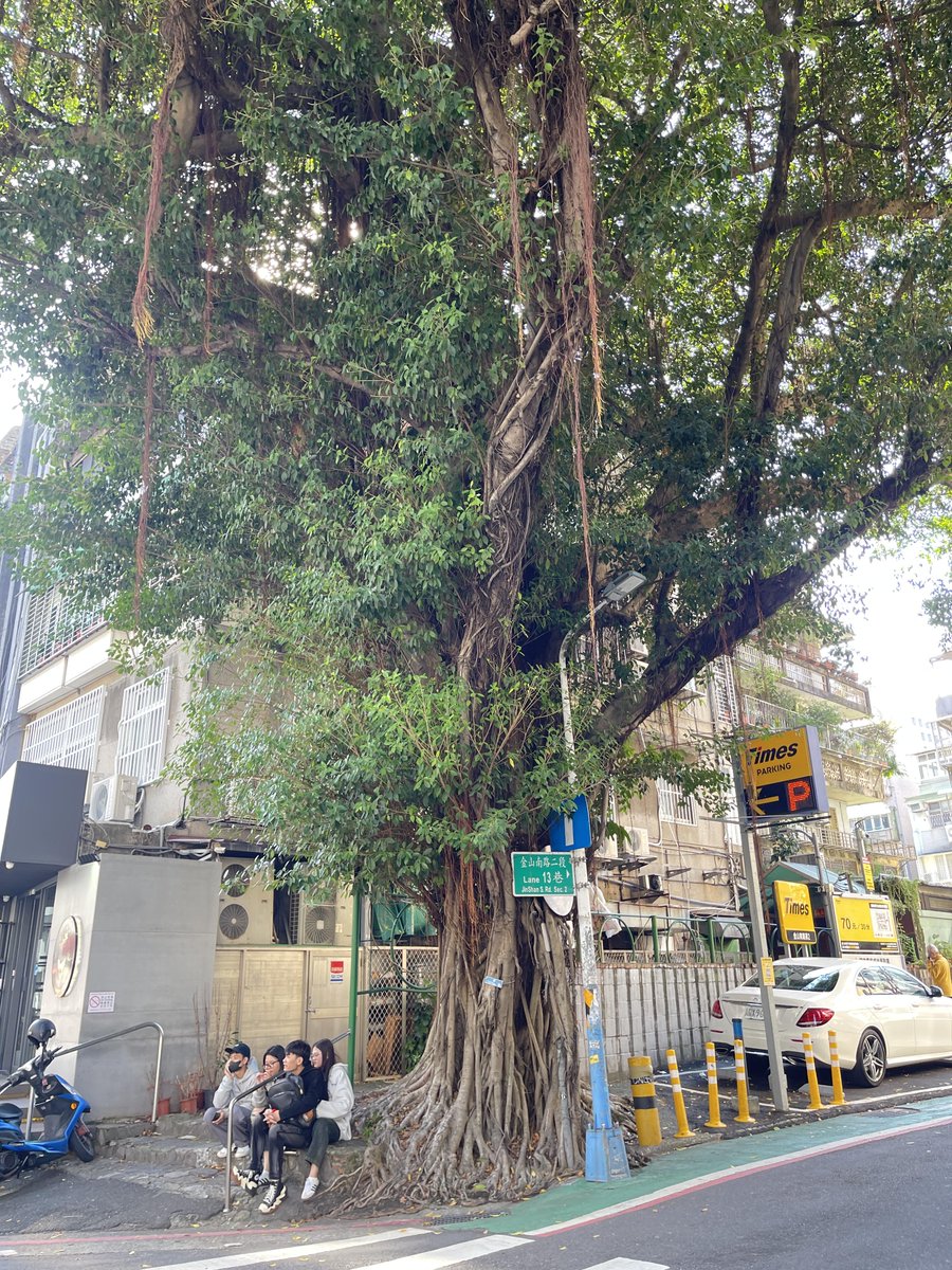 h_macumber's tweet image. ゆったりとした土曜日、少し外に出てリフレッシュしよう〜