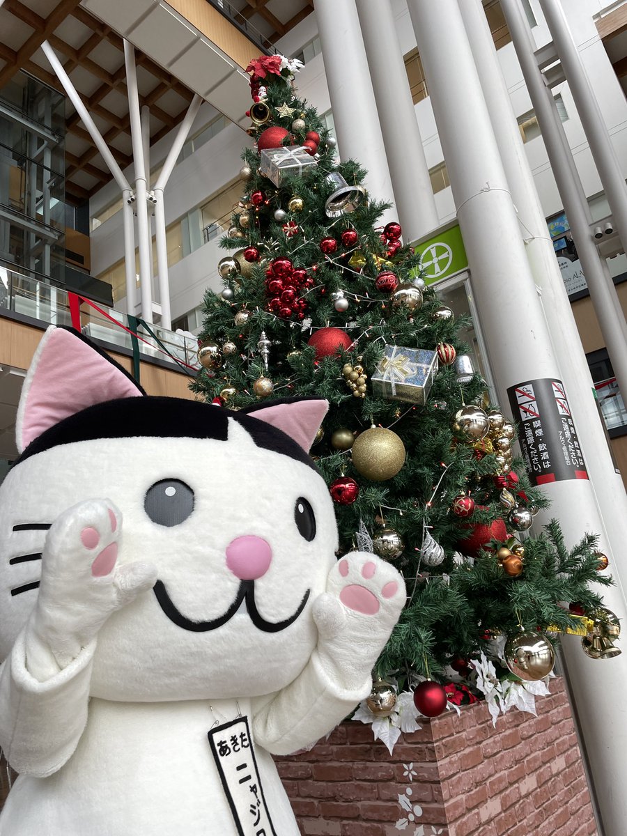 ( ・∇・)サンタさん！ここだよー！