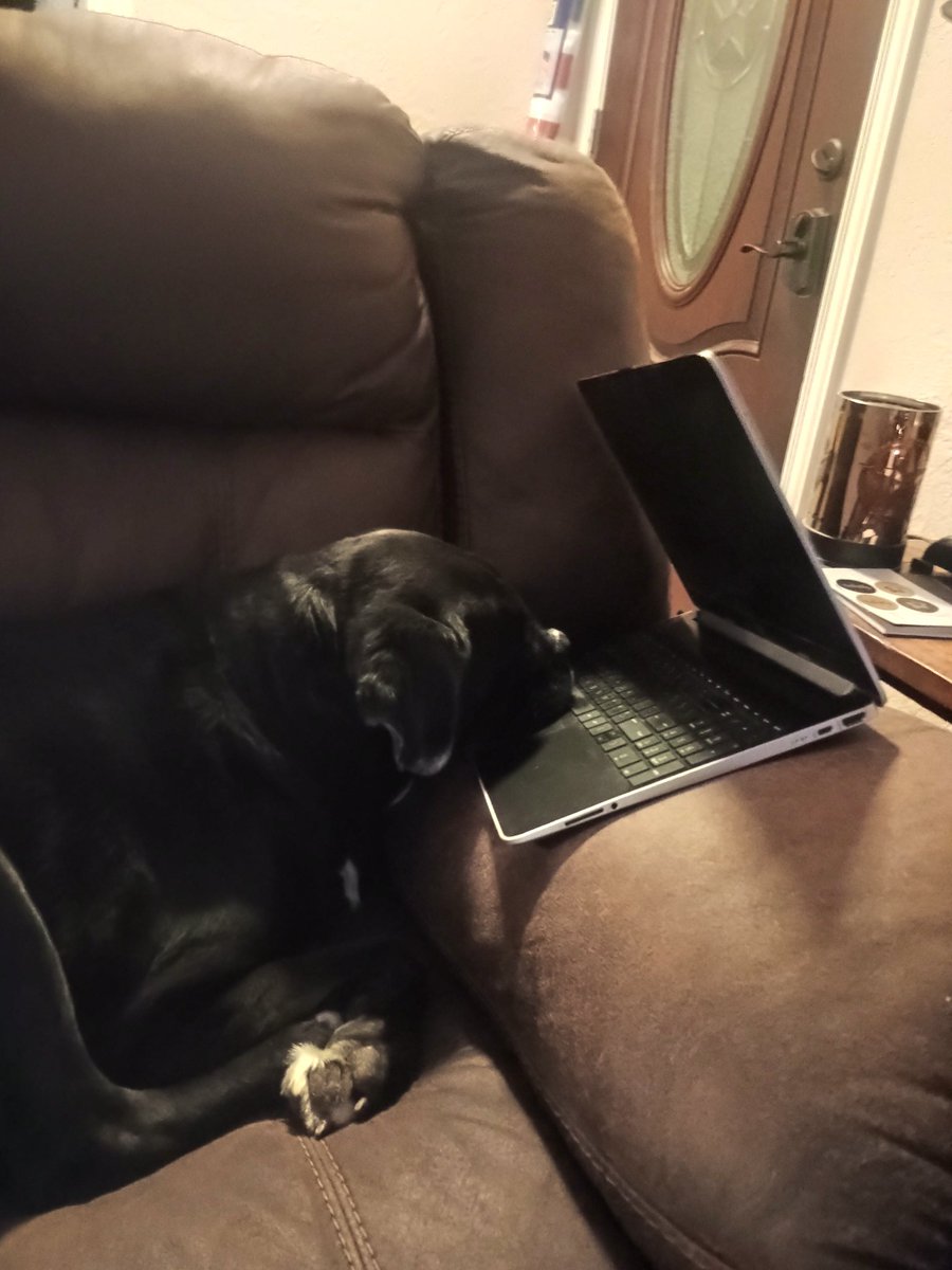 Haskell_plus's tweet image. My DOG fell asleep on my laptop 🤣🤣
I think he was after my $ERG
😎😅