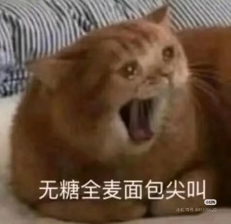 何意味