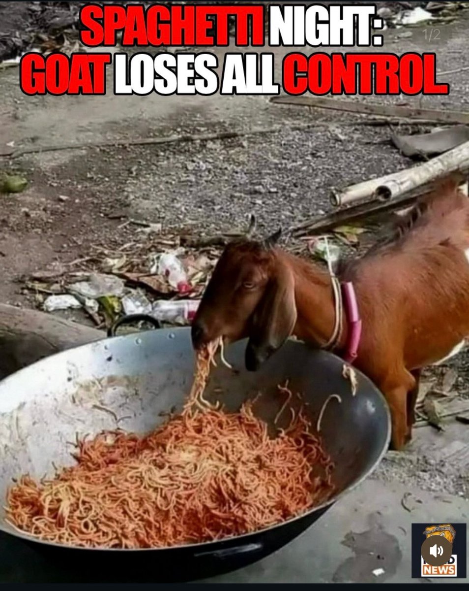 ⋆༺ audrey ༻⋆ tweet media