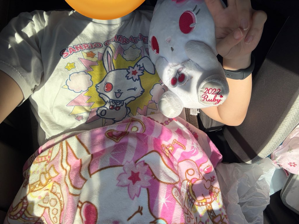 こぽこた🍒 (@copocota) / Posts / X