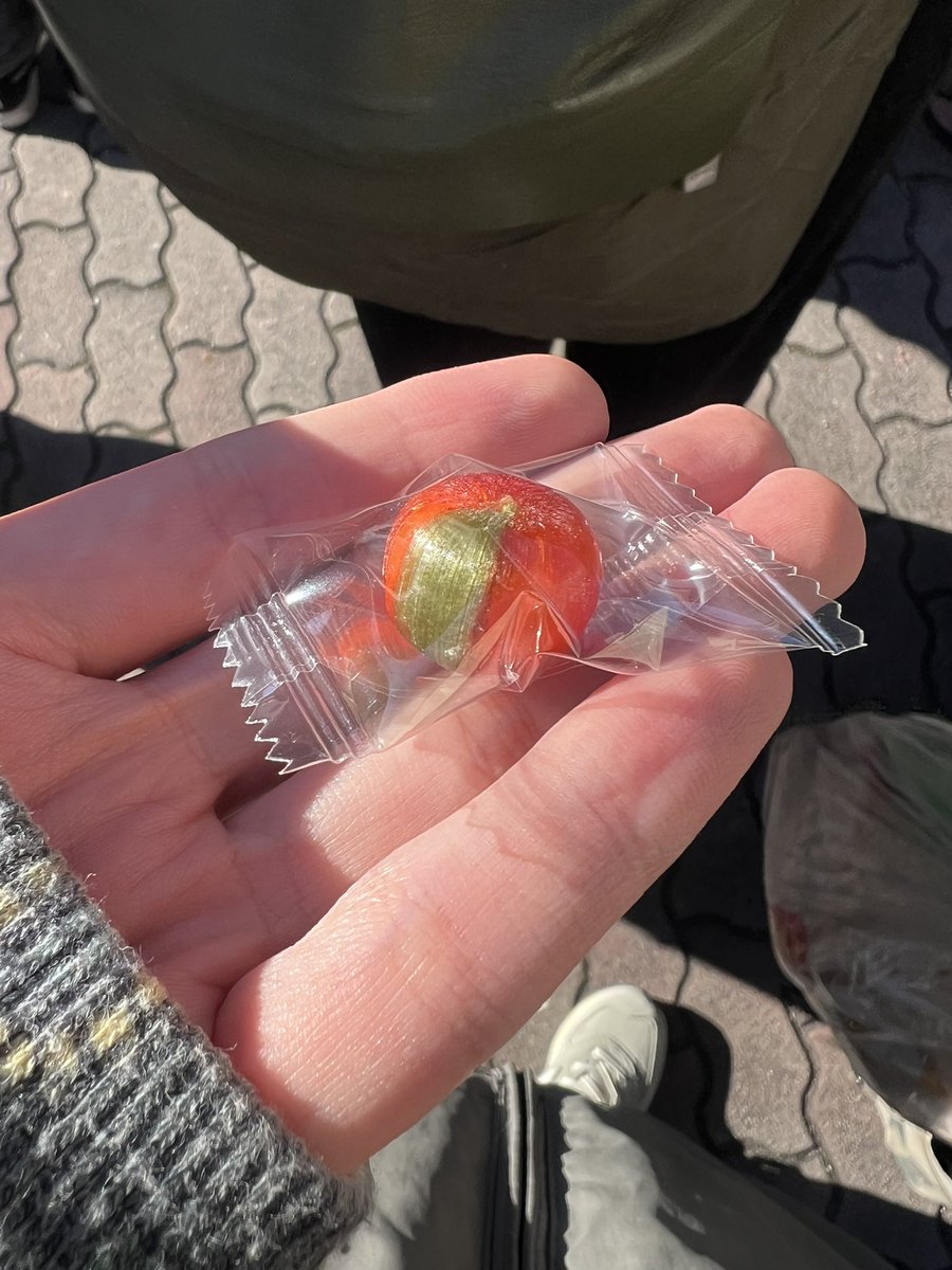 KONMI (@kommi_ene) on Twitter photo 